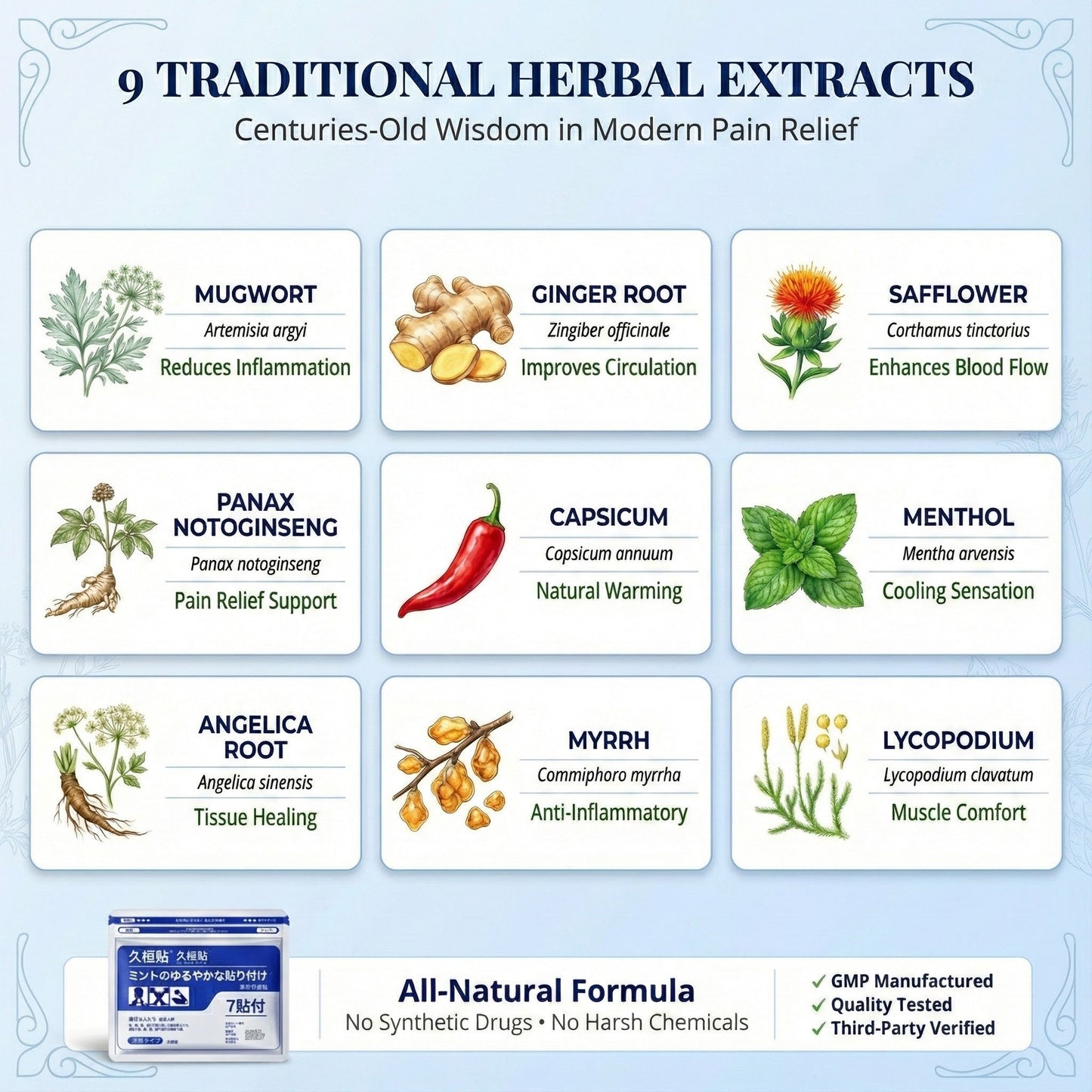 Japanese Pain Relief Patch