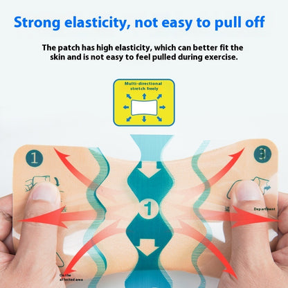 Japanese Pain Relief Patch